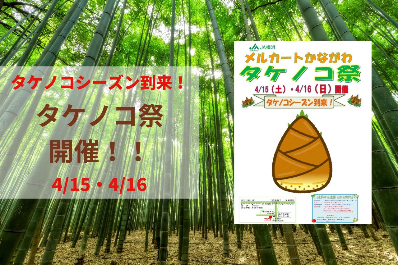 地元で採れた新鮮なタケノコが並ぶ「 タケノコ祭 」JAメルカート