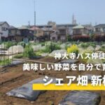 シェア畑新横浜