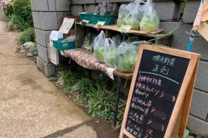 藤巻農園野菜直売所外観