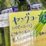 平本農園のヤングコーン