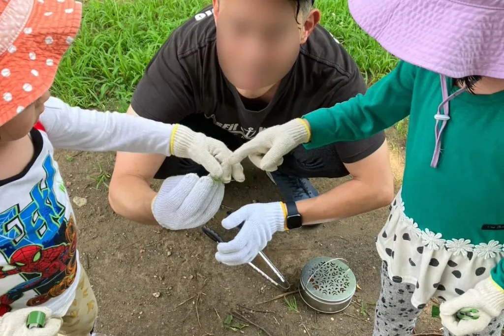 バッタを観察