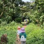 片倉うさぎ山公園