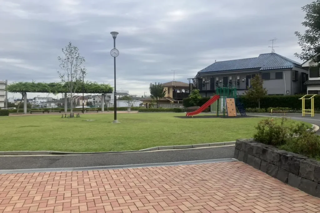 綺麗な芝生