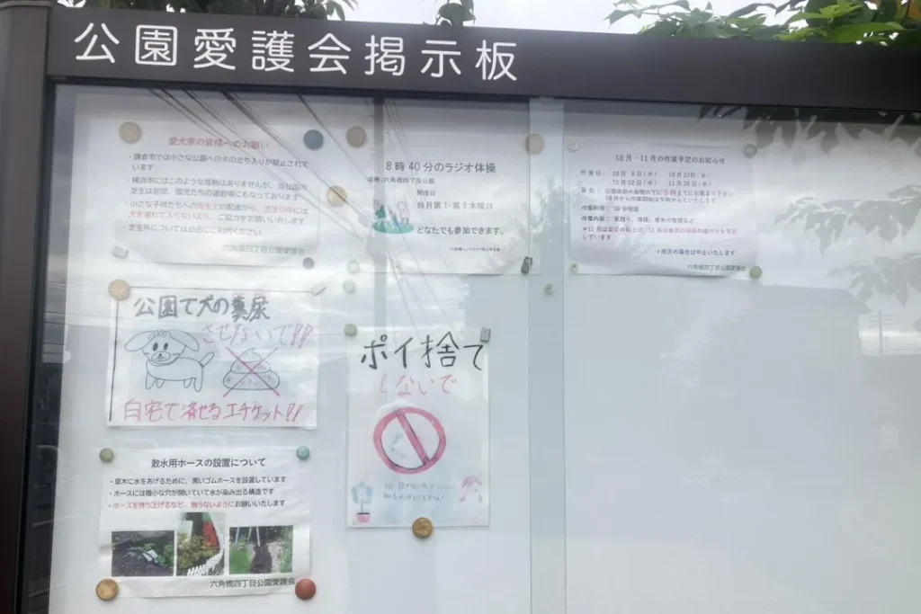 掲示板