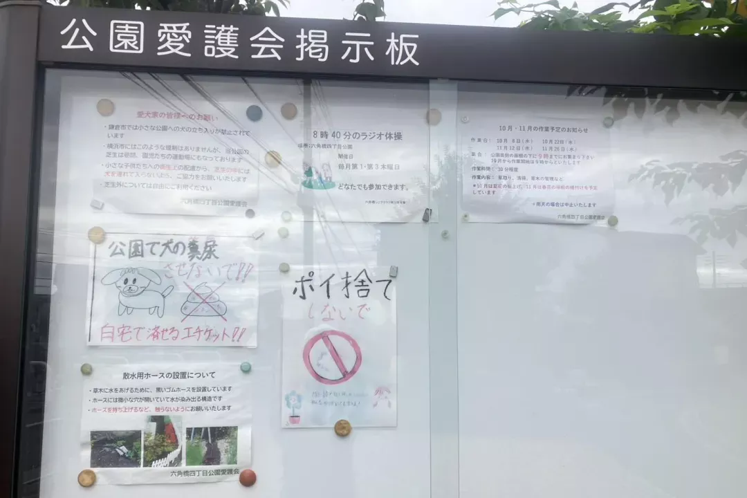 掲示板