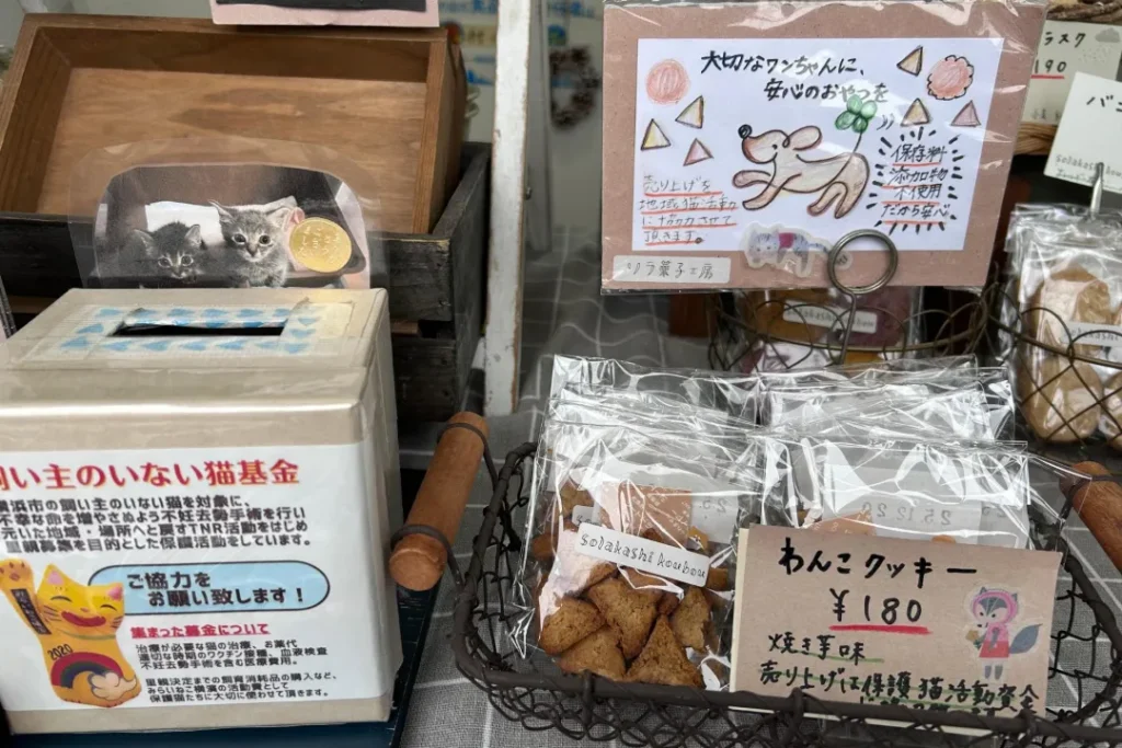 動物への募金活動