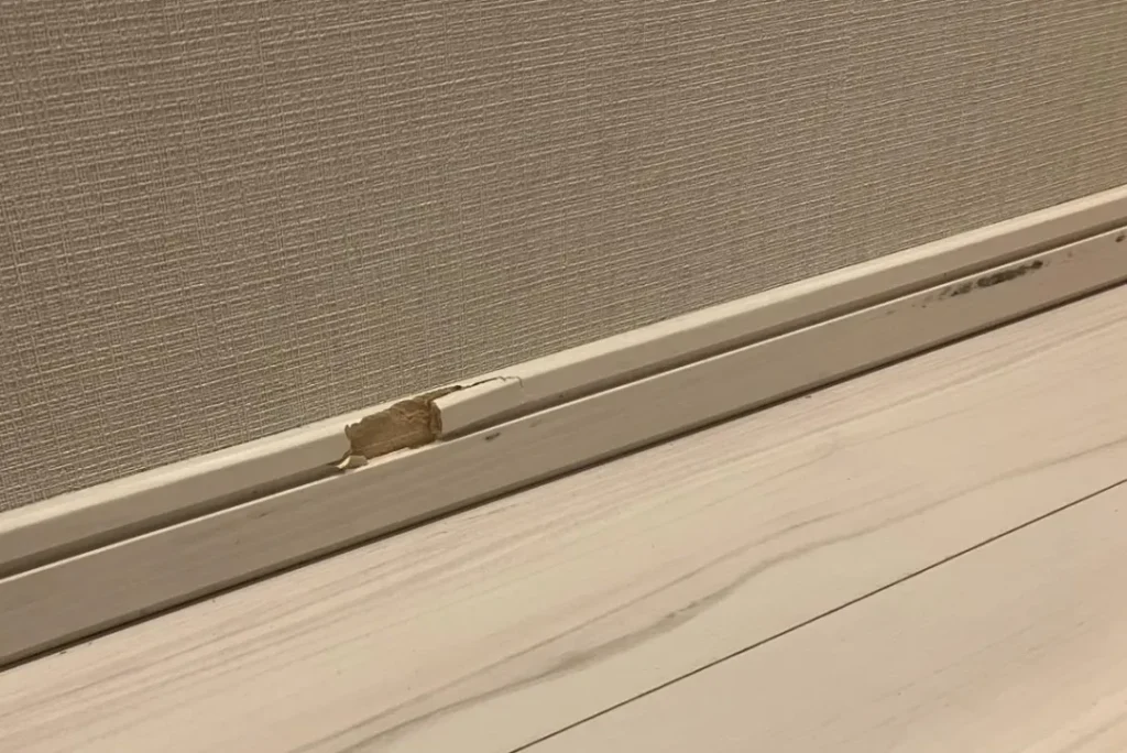 巾木が剥がれている