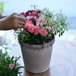 横浜のお花屋さんエフルール