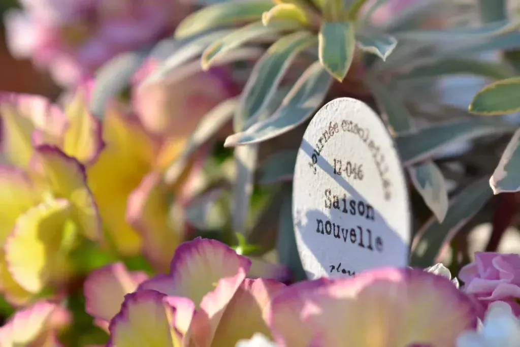 店舗を持たないお花屋さんエフルールの話