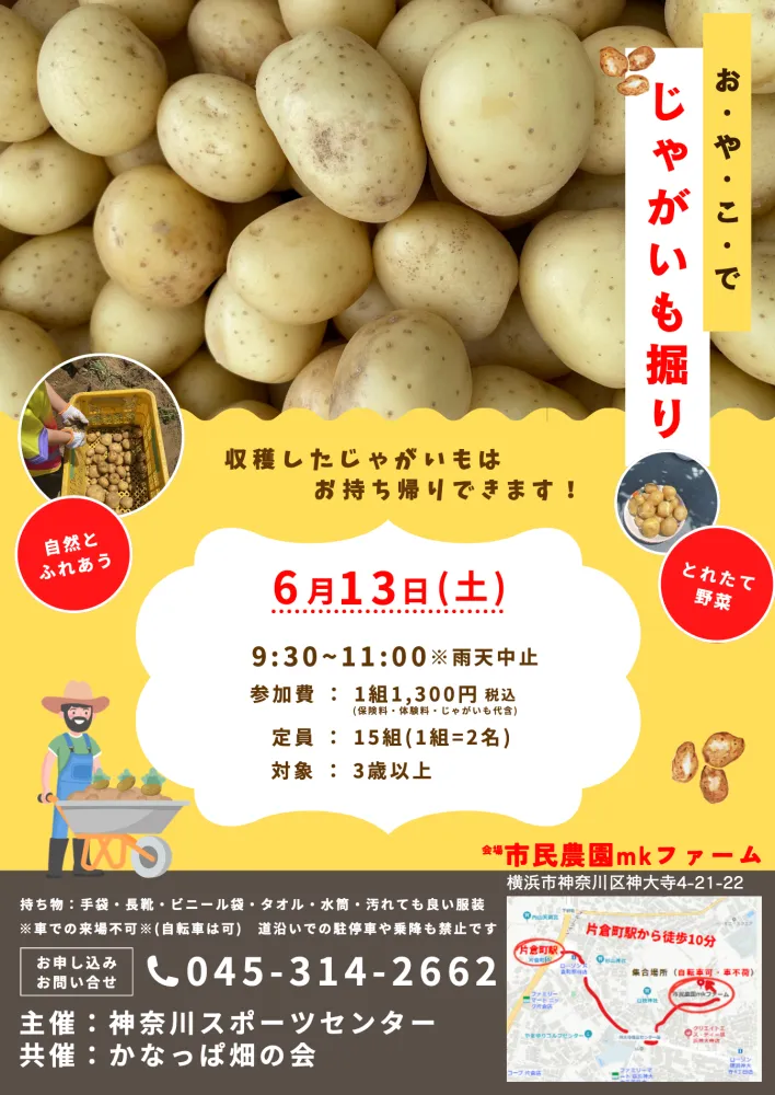 神大寺ジャガイモ掘りチラシ