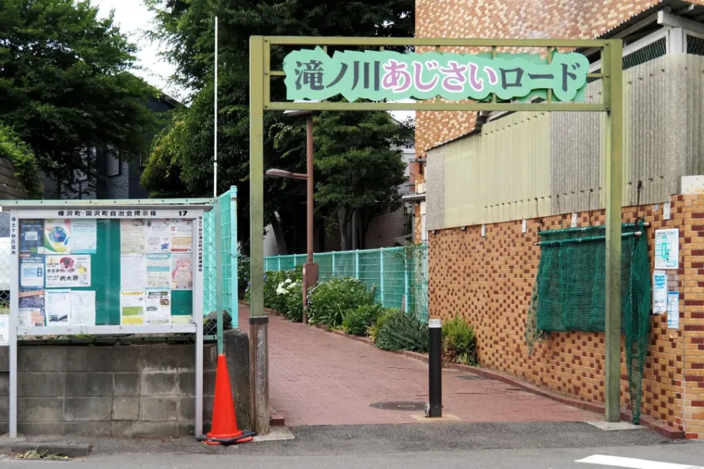 滝ノ川あじさいロード
