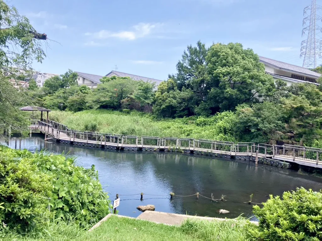 岸根公園の篠原池