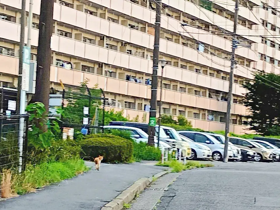 坂みち探訪記のまちの様子