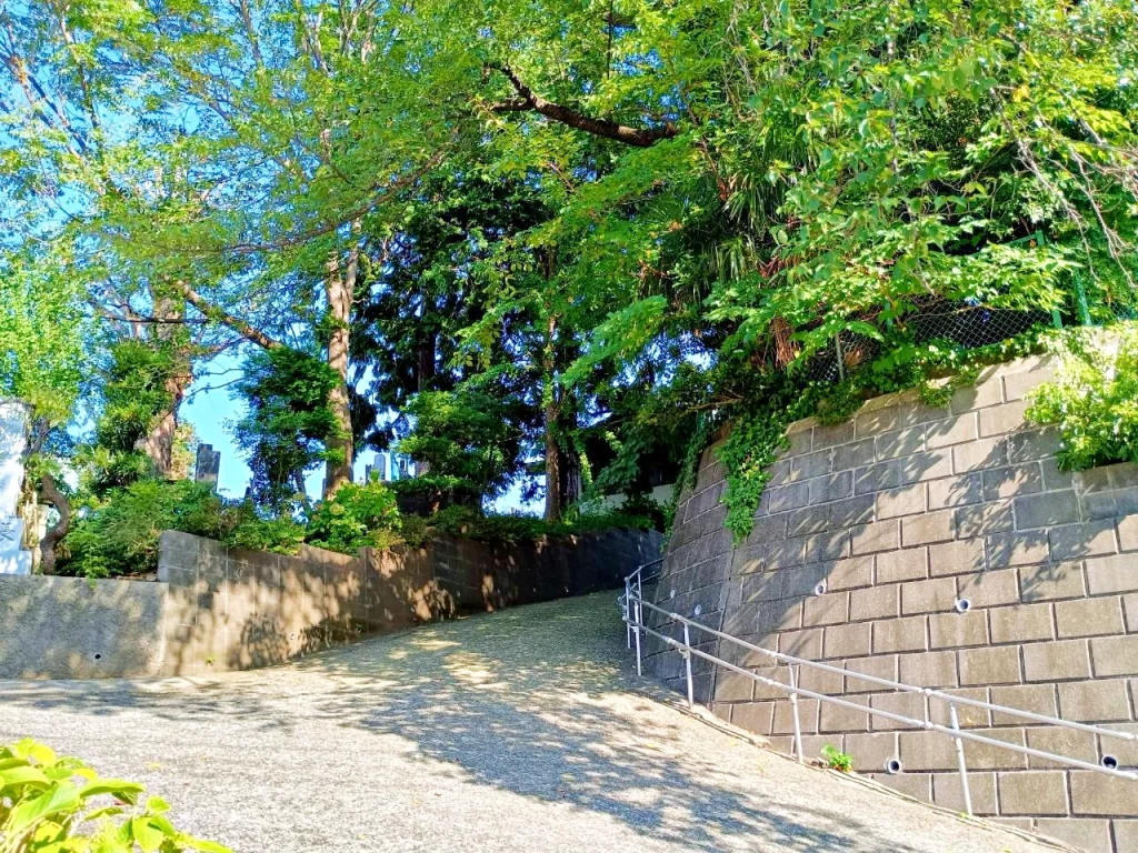 のろ猫の坂みち探訪記の風景