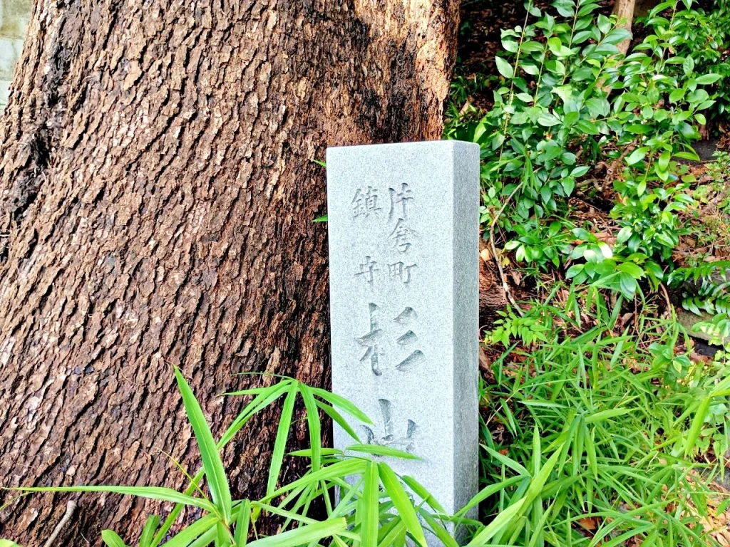 のろ猫の坂みち探訪記の風景　片倉町杉山神社