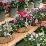 エフルールさん提供の花籠