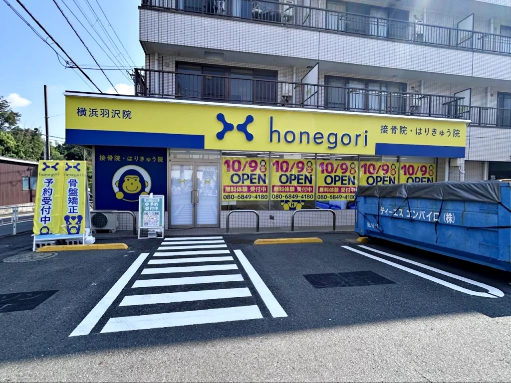 ほねごり羽沢店