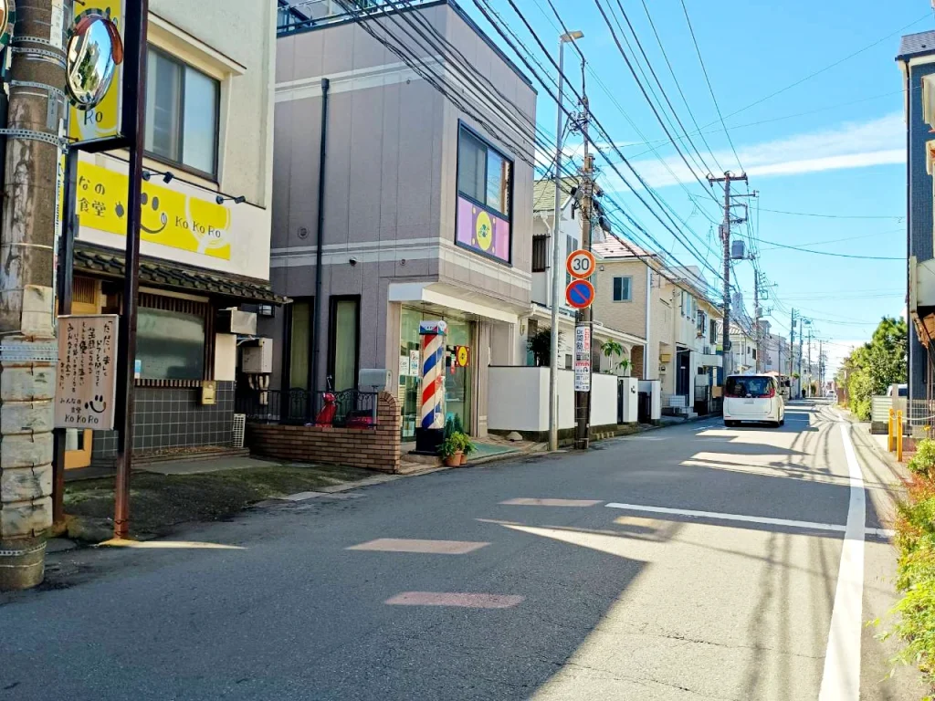 のろ猫 坂みちさんぽ
