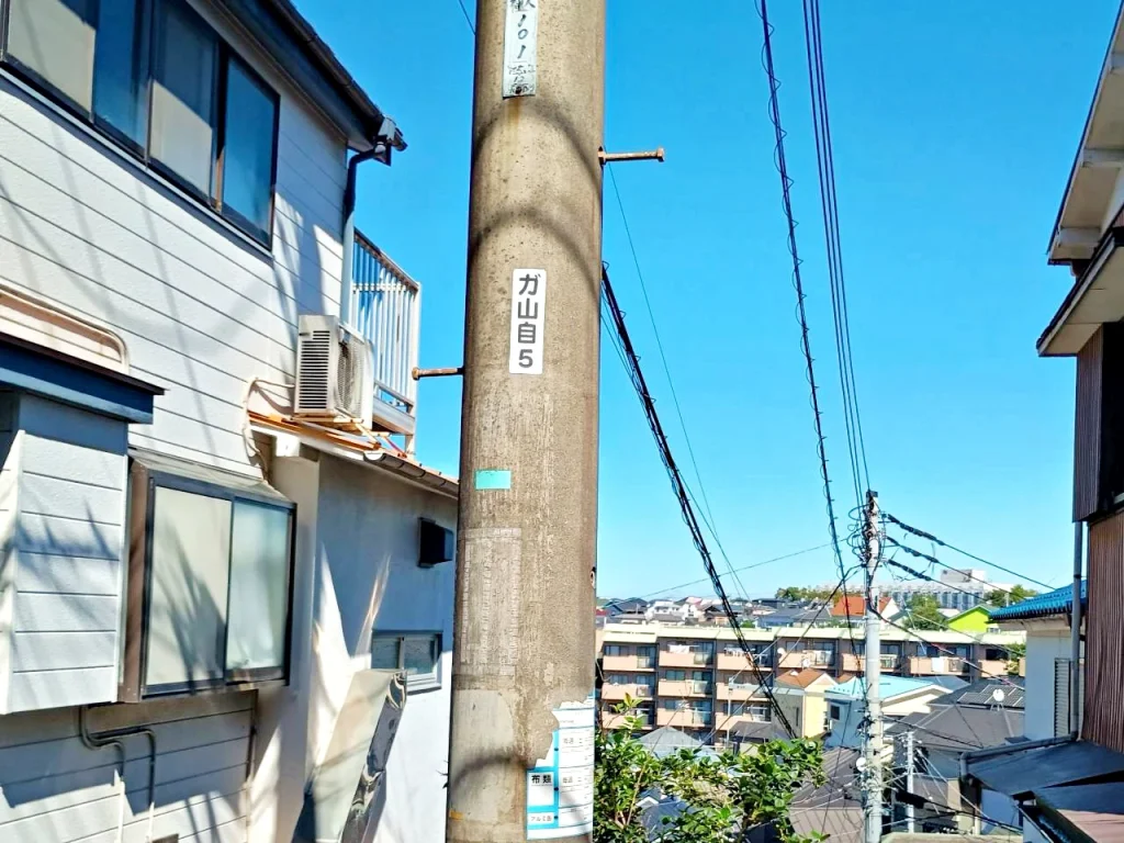 のろ猫 坂みちさんぽ