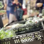 産直野菜の陳列