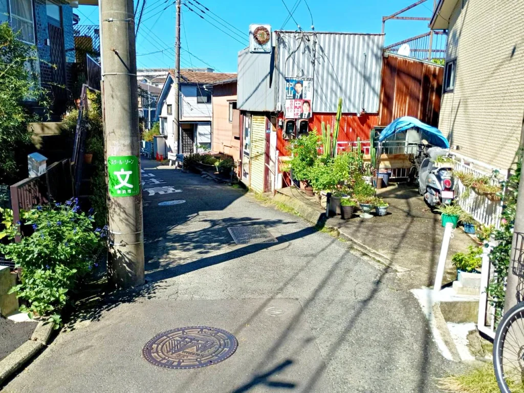 のろ猫 坂みちさんぽ