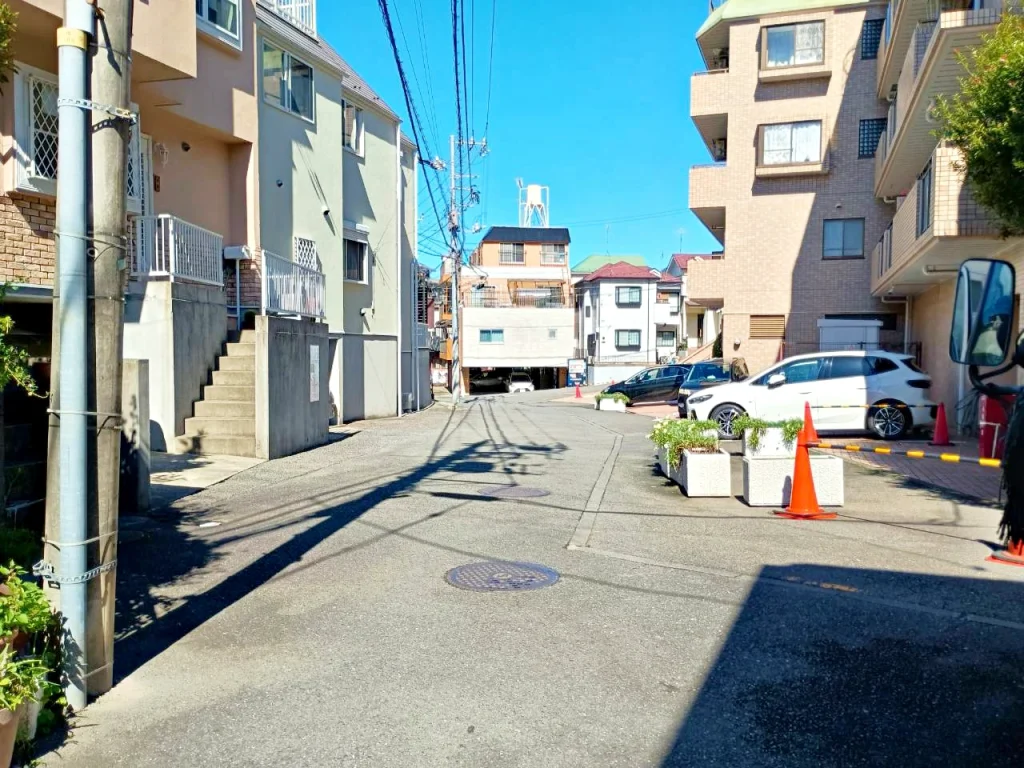 のろ猫 坂みちさんぽ