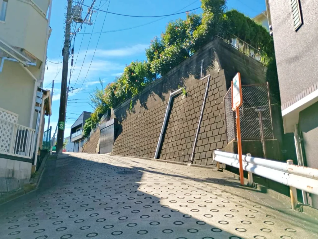 のろ猫 坂みちさんぽ
