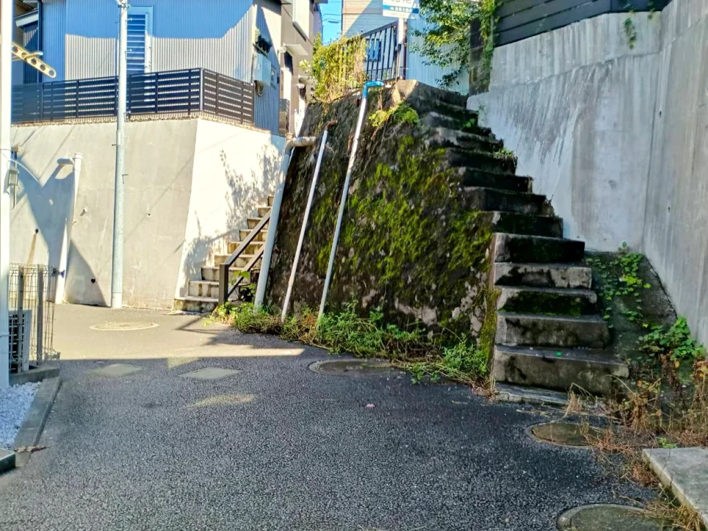 のろ猫 坂みちさんぽ