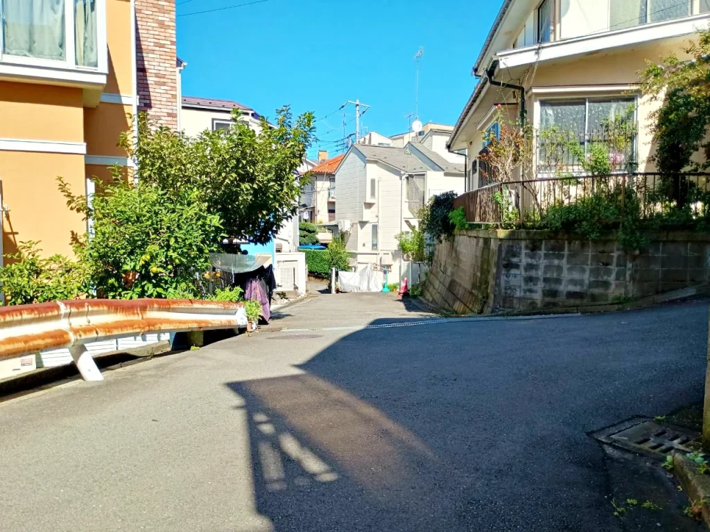 のろ猫 坂みちさんぽ