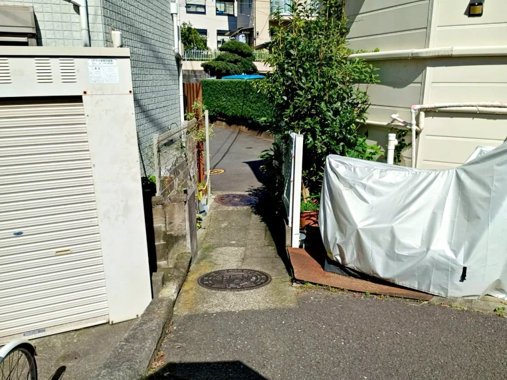 のろ猫 坂みちさんぽ