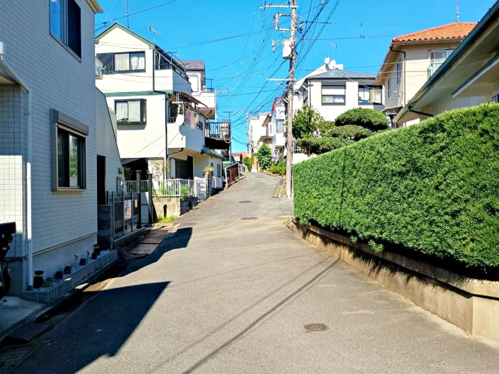 のろ猫 坂みちさんぽ
