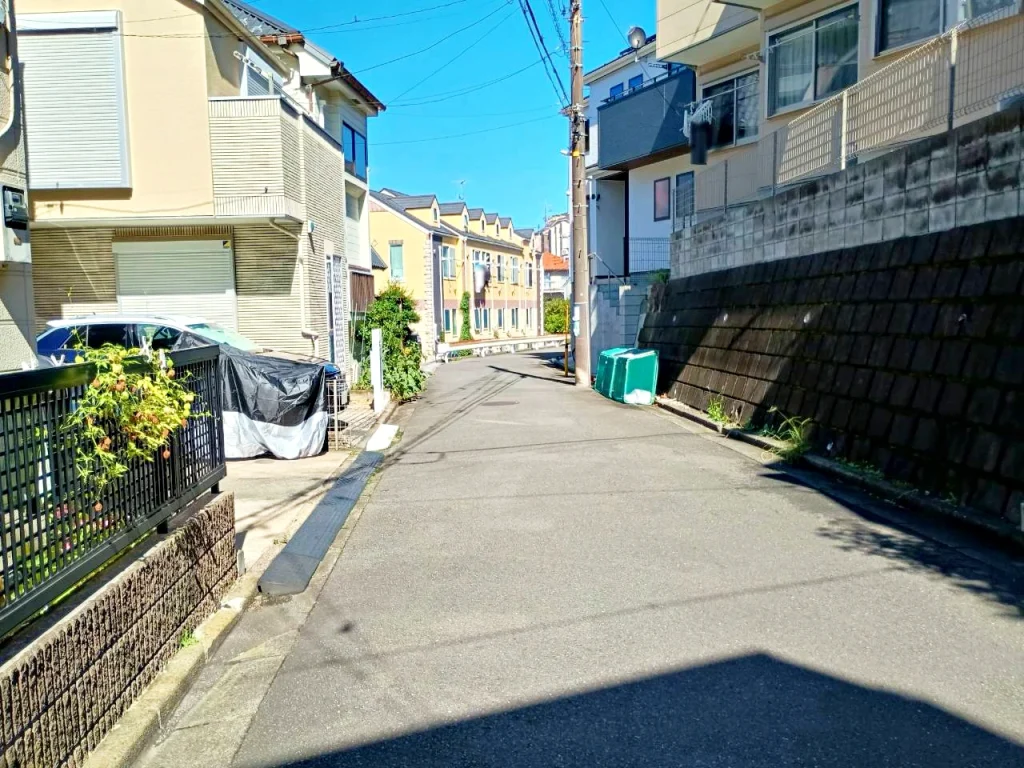のろ猫 坂みちさんぽ