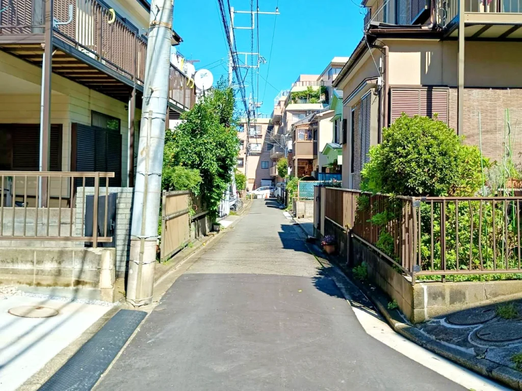 のろ猫 坂みちさんぽ