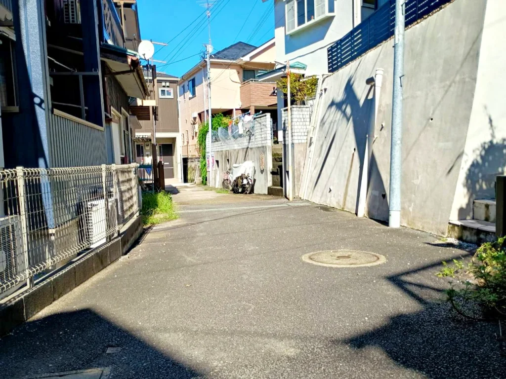 のろ猫 坂みちさんぽ